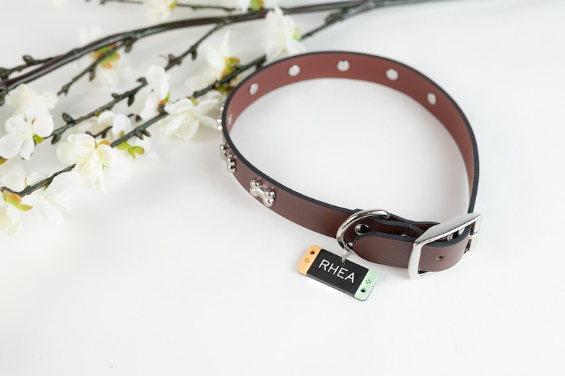 May include: Brown leather dog collar with silver bone accents and a silver buckle. The collar has a tag that says "RHEA" in white letters on a black background.
