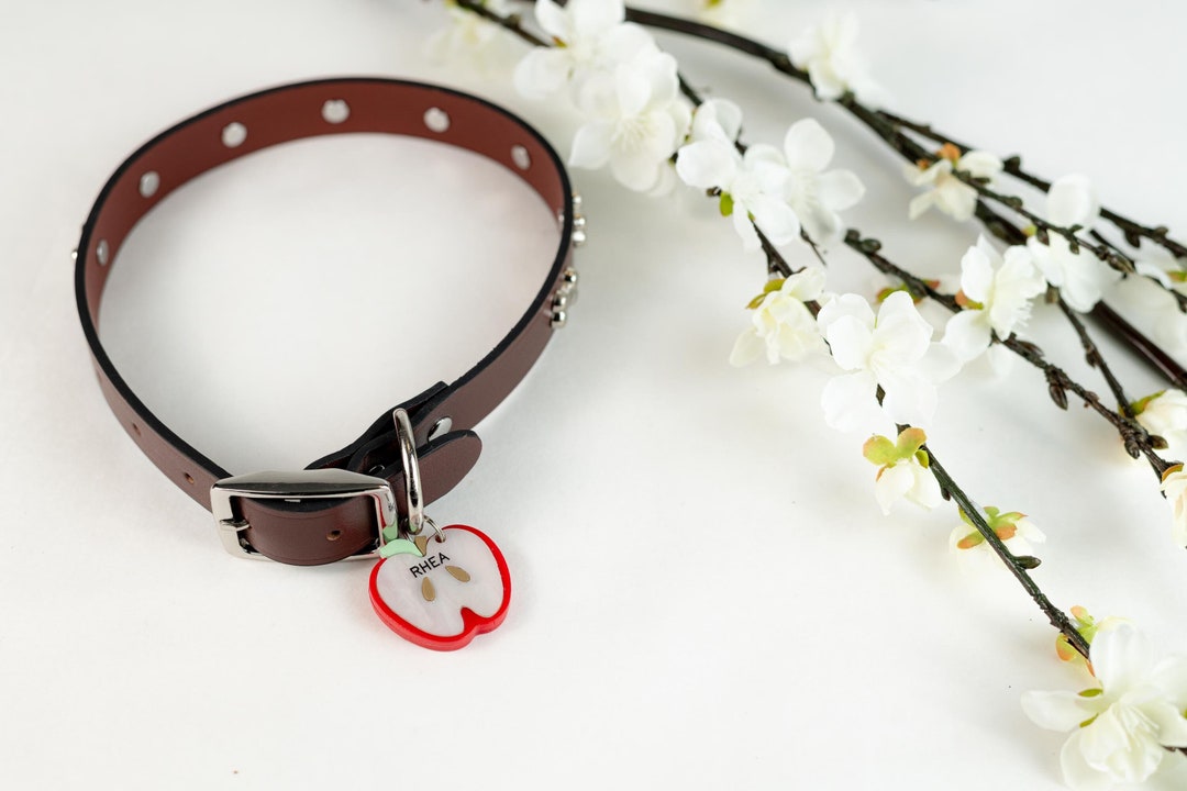 Apple Dog Tag Personalized Dog Tag Name Tag Pet Gift Etsy