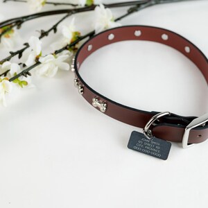 May include: Brown leather dog collar with silver bone accents and a silver tag with the text "John Smith, 123 Street Rd, City, Province, 000-000-0000".