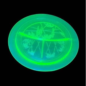 May include: A round, translucent, neon green glass divided plate featuring a central embossed pattern of bamboo stalks and leaves. The plate is illuminated, creating a vibrant glow against a solid black background.