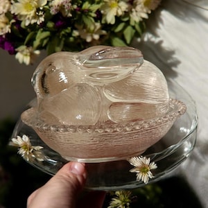 Vintage Frühling Glashase Indiana Glashase auf Nest Klar Vintage Glas Frühling Kaninchen Trinket Dish Bunny Candy Dish Frühling Decor Geschenk