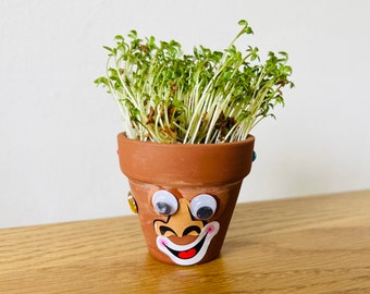 Funny Face Plant Pot Mini Craft Kit - Children's Craft Kit - Cress Head - Kids Crafts - Gift Idea - Party Favour - Stocking Filler