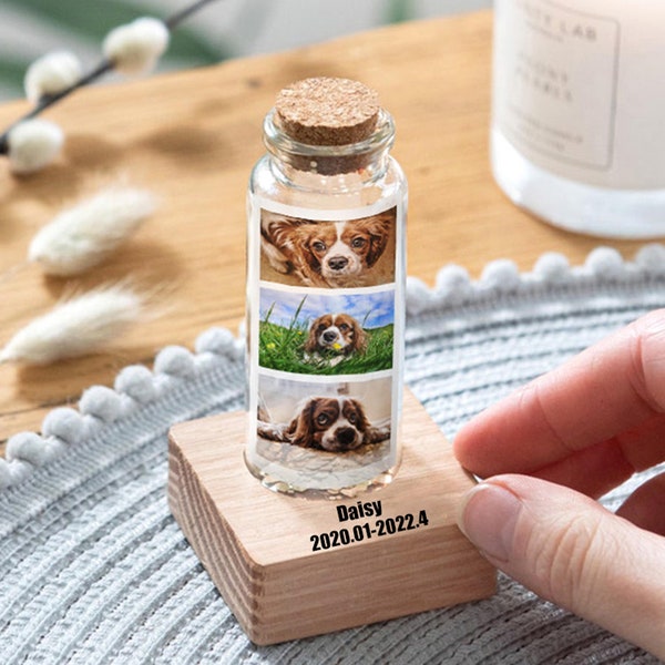 Pet Memorial Hair Container Etsy