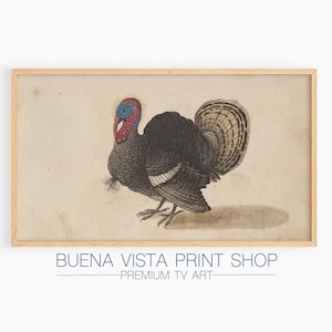 Vintage Turkey Sketch Art | Thanksgiving TV Art (Digital Download)