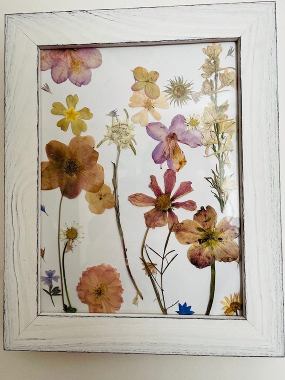 Gepresste Blumen in Bilderrahmen (aus echten natürlichen, getrockneten Blüten)