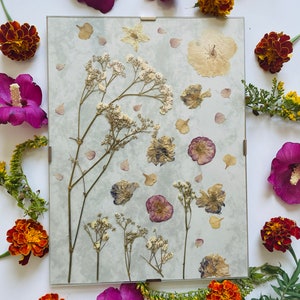Pressed winter flowers in picture frames (made from real natural, dried flowers).
