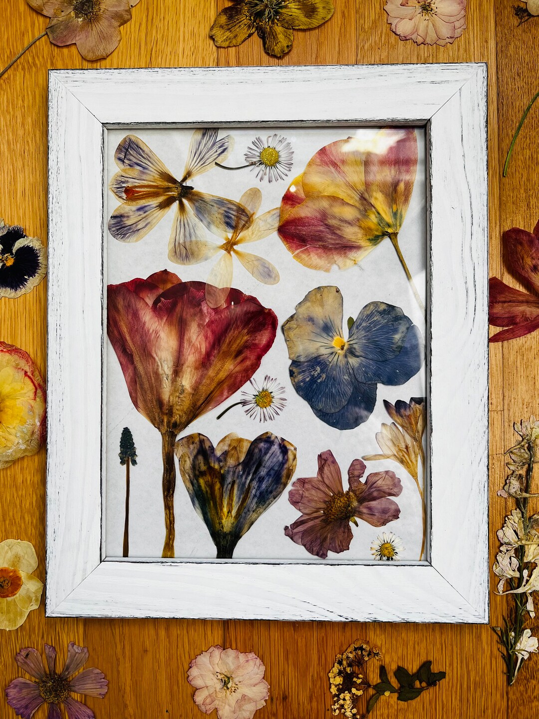 Springtime Photo Frames Springtime Pressed Flowers in Photo Frames made From Real Natural Dried ...