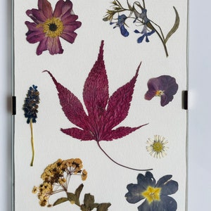 Pressed flowers in picture frames (made from real natural dried flowers).