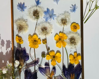 Cadre de fleurs botaniques dorées : véritables fleurs séchées dans un élégant cadre en verre en laiton. Beauté pour votre décoration murale.