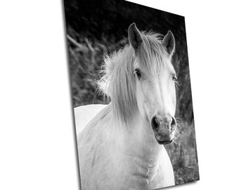 Camargue White Horse Art Print: France Fine Art Photography  on Canvas/Acrylic/Metal