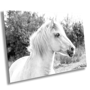 Horse from Camargue Black and white, France Camargue Horse Art Print, Horse decor, Photography on Large Print/Canvas/Acrylic/Metal