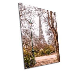 Paris Eiffel Tower in the park, Paris Wall Art, France wall decor, wall decor photography on Large Print/Canvas/Acrylic/Metal