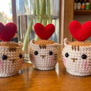 Flor de crochê em vaso, coração de crochê, presente personalizado para namoradas, amigos, presente de aniversário, decoração para casa, presente de crochê, presente para ela