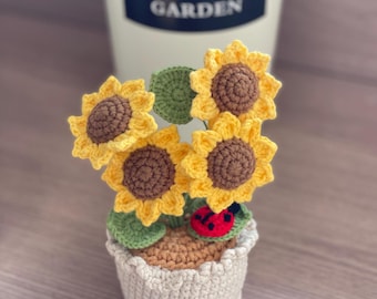 Crochet Flower in Pot, Crochet Sunflower, Graduation Gift, Birthday Gifts, Knit flower, Gift for Her, Flower Pot, Crochet Gift, Gift