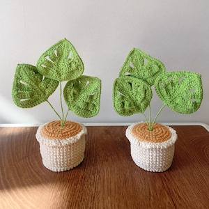 Crochet Plant, Crochet Flower in Pot,Crochet Mini Monstera ,housewarming gift, desk decoration, Gift for Mom, Mother&#39;s Day Gifts, Birthday