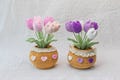Crochet Flower in Pot, Crochet Tulip, Crochet Flower, Rose, Daisy Pot, Mother's Day Gifts, Birthday Gifts, Knit flower, Gift for Her, Mom product logo