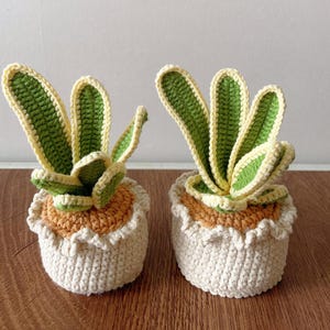 Crochet Flower in Pot, Crochet snake plant ,housewarming gift, desk decoration,handmade monstera, gift for her, Crochet Plant, Crochet Gift