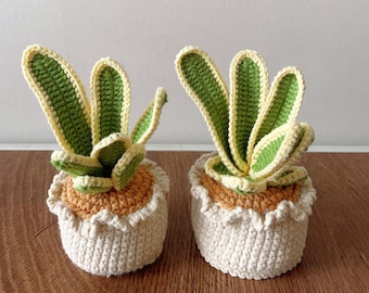 手作りかぎ針編みの鉢植えサンセベリア：デスクデコレーション
