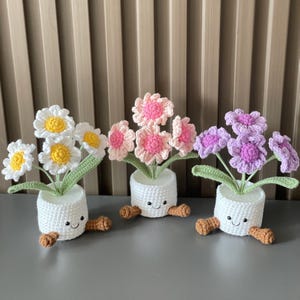 Maceta de margaritas de crochet hecha a mano (blanca, rosa, morada o azul): un bonito regalo para ella, novia, amiga o colega. Ramo de flores de crochet.