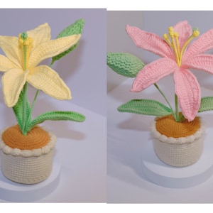 Crochet Flower in the Pot, Home Decor, Crochet Flower Decoration, Crochet Flower Decor, Tulip. Sunflower. Daisy Pot, Mother's Day Gifts afbeelding 10