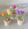 Handmade Crochet Tulip Flower Pot - Pink, Purple, Orange, or Blue - Cute Gift for Her, Girlfriend, Friend, Colleague, Crochet Flower Bouquet product logo