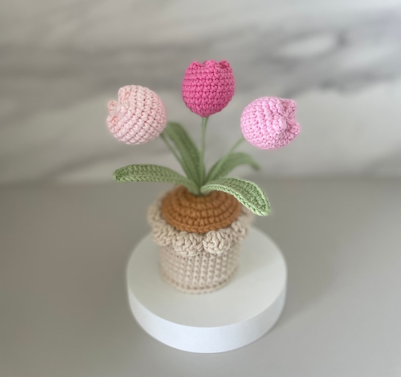 Crochet Flower in Pot, Personalized Gift for Mom, Friends,birthday Gift