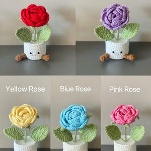May include: Crocheted rose plants in red, purple, yellow, blue, and pink. Each flower sits in a white pot with a smiling face and brown feet. The text above each plant indicates the rose color.