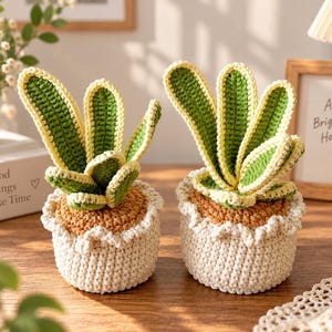 May include: Two crocheted potted plants featuring upright, pointed leaves in shades of green with yellow edges. Each plant sits in a textured, cream-colored crocheted pot with a ruffled top edge and a brown crocheted base representing soil.