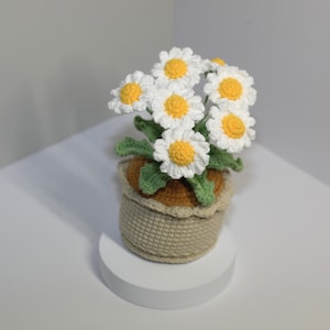 Crochet Flower in the Pot, Home Decor, Crochet Flower Decoration, Crochet Flower Decor, Tulip. Sunflower. Daisy Pot, Mother's Day Gifts White Daisy