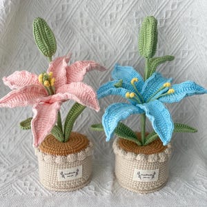 Peut inclure: Deux fleurs de lys crochetées en pot. L'une est rose, l'autre bleue, toutes deux avec des tiges et des feuilles vertes. Les pots sont beiges avec un bord festonné et une petite étiquette indiquant "Handmade with love".