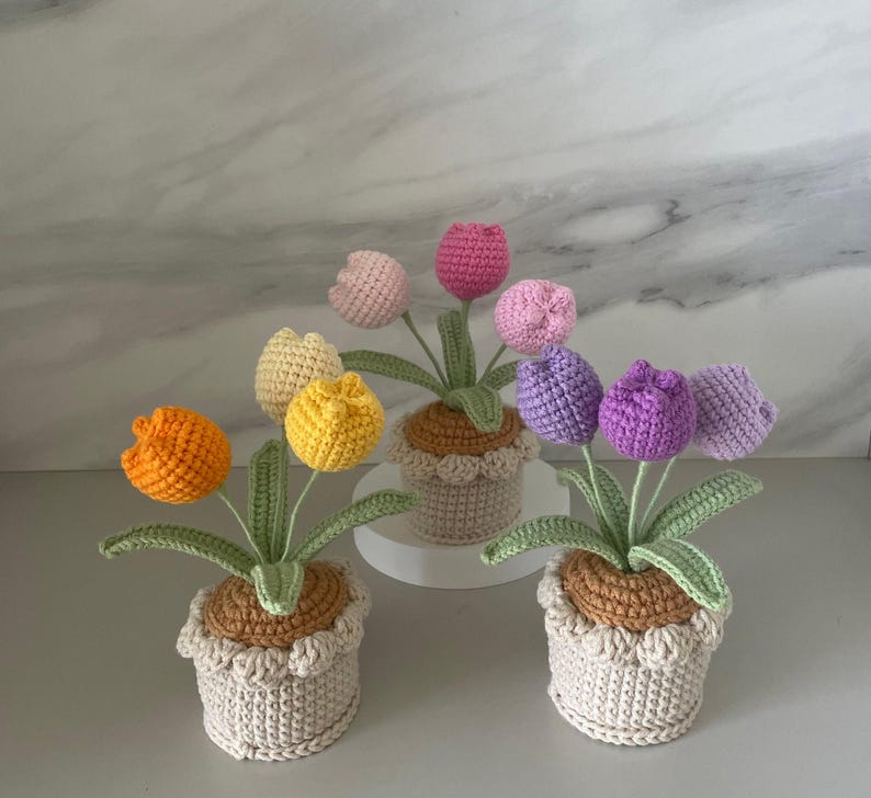 Crochet Flower in Pot, Personalized Gift for Mom, Friends,birthday Gift
