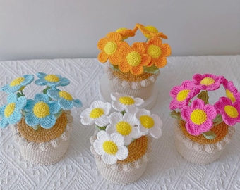 Handmade Crochet Daisy Flower Pot, Personalized Gift