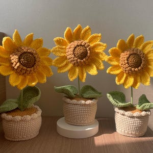 Può includere: Tre girasoli all'uncinetto in vasi. I girasoli hanno petali gialli e centri marroni. I vasi sono beige con un bordo smerlato e ognuno ha foglie verdi. I girasoli sono esposti su una superficie di legno.