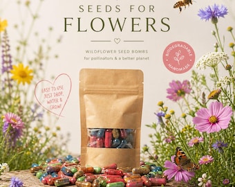 Seed Bombs -  kit Seed bombs - Set of seed bombs - Seed bombs set - Seed bombs capsules – Garden seed bombs – Seed bombs kit