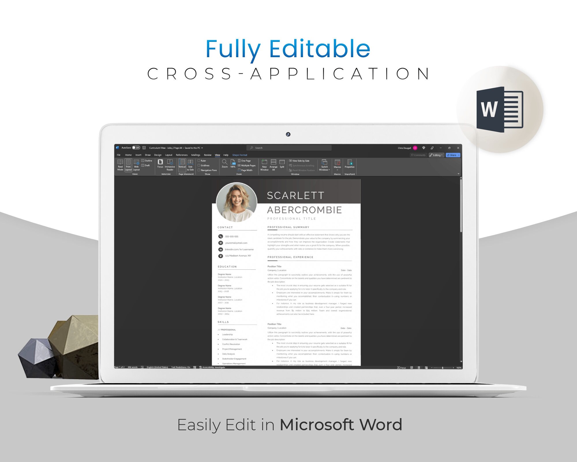 DIGITAL Modern PROFESSIONAL CV Template for Microsoft Word Modern ...
