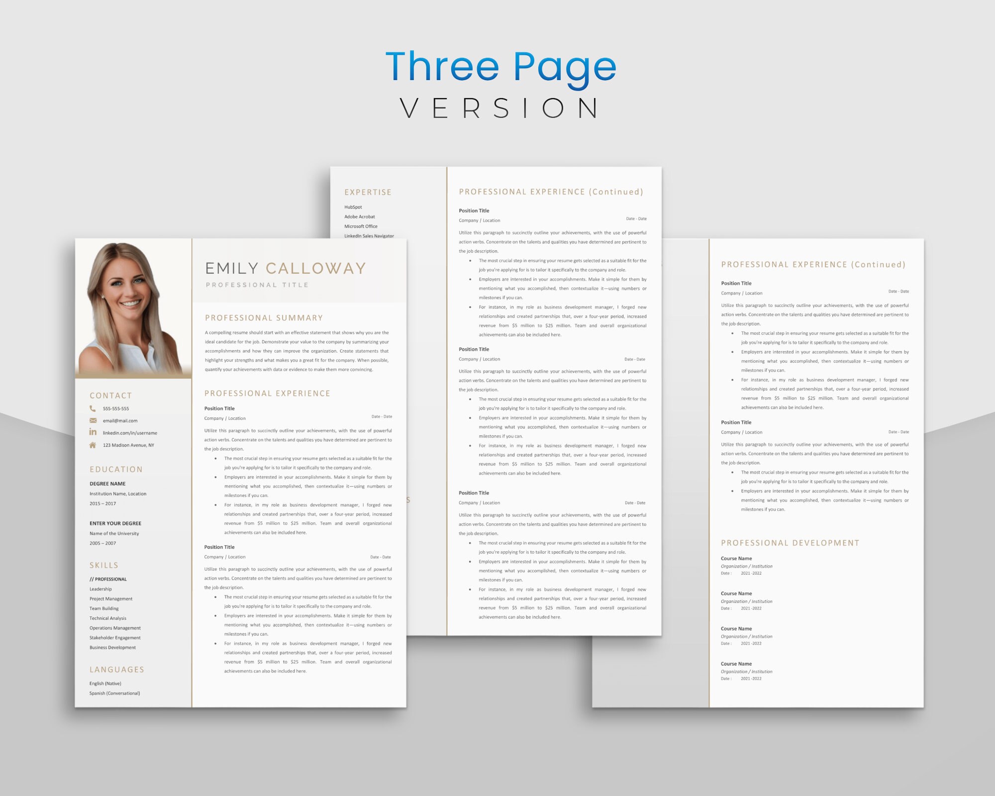 Professional Executive CV TEMPLATE for Microsoft Word Modern Resume ...