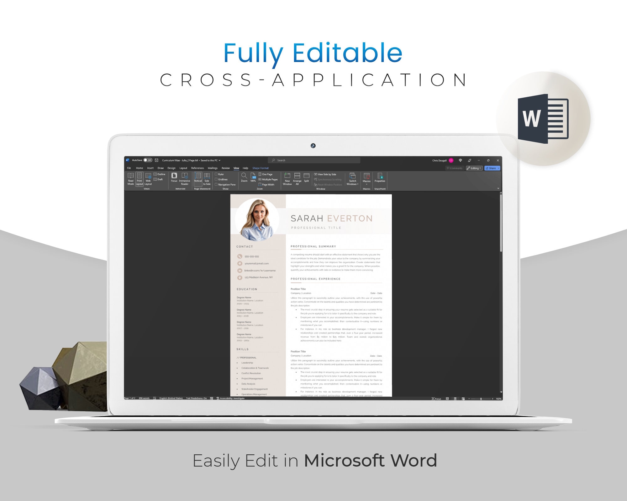 Professional Modern CV TEMPLATE for Microsoft Word Professional Resume