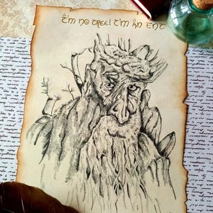 Può includere: Un disegno a matita in bianco e nero di un Ent, una creatura arborea de Il Signore degli Anelli di J.R.R. Tolkien. L'Ent è raffigurato con un viso segnato dal tempo, una lunga barba e una corona di rami. Il disegno è su uno sfondo di pergamena con il testo "Non sono un albero! Sono un Ent!" scritto in alto.