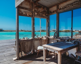 Jane's Shack