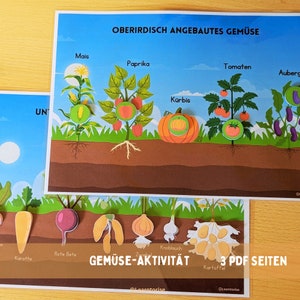 Könnte beinhalten: Eine farbenfrohe Lernkarte mit Illustrationen verschiedener Gemüsesorten, darunter Mais, Paprika, Tomaten, Auberginen, Karotten, Rote Bete, Kartoffeln, Zwiebeln und Knoblauch. Die Karte ist mit "Oberirdisch Angebautes Gemüse" und "Gemüse-Aktivität" betitelt und enthält den Text "3 PDF Seiten".