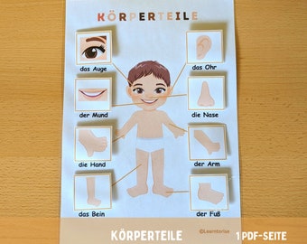 May include: A colorful educational chart with illustrations of a child's body parts, labeled in German. The chart includes the words "Körperteile" (body parts) and "1 PDF-Seite" (1 PDF page).
