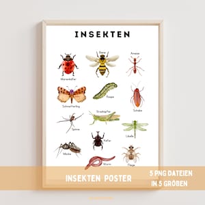 Pôster de insetos, arte de parede de sala de aula, download instantâneo