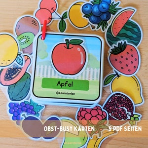 Fruit Shadow Busy Cards,Homeschool,Matching Shadows,Montessori Flashcards PDF Printable