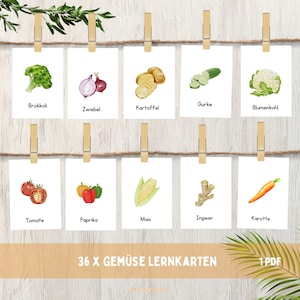 36 x Vegetables flashcards, Montessori flashcards PDF printable