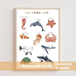 Cartel de animales submarinos, arte de la pared del aula, descarga instantánea