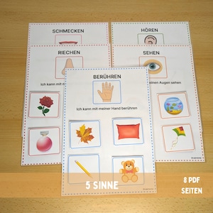 5 Senses German, 5 Senses, Five Senses Sorting Activity, Montessori, Preschool, Kindergarten