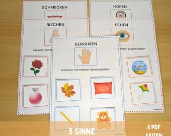 Puede incluir: Cinco tarjetas coloridas con imágenes y texto sobre los cinco sentidos: olfato, gusto, tacto, vista y oído. Las tarjetas son parte de un conjunto de ocho tarjetas para enseñar a los niños sobre los cinco sentidos.