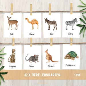 32 x cartões de aprendizagem de animais, modelo de impressão em PDF de cartões de aprendizagem Montessori