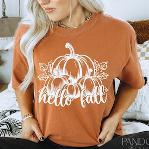 May include: A rust-colored t-shirt with a white graphic of pumpkins and the text "hello fall".