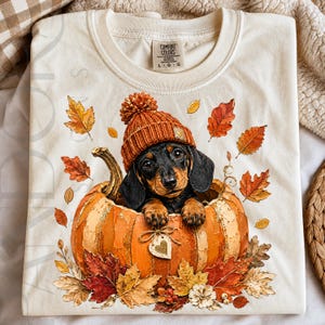May include: A cream-colored t-shirt featuring a graphic of a black and tan dachshund puppy wearing an orange knit beanie with a pom-pom, sitting inside a large orange pumpkin. The design is surrounded by scattered autumn leaves in shades of red, orange, and yellow, with a small heart-shaped tag tied to the pumpkin.